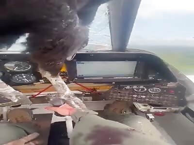 A pilot managed to land unharmed after a large bird crashed into the w