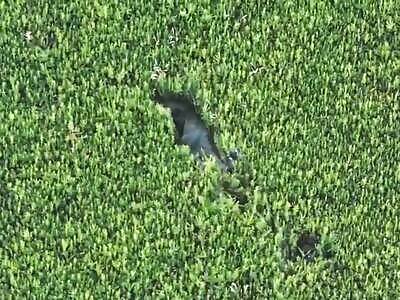 Dead Russians comp IX (August 1-4, 2025)