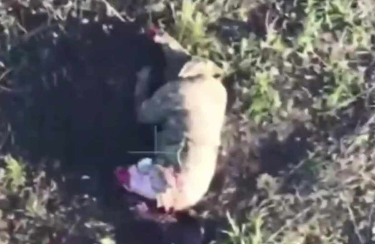 A living Ukrop loses a leg. 