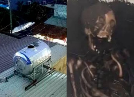 HUMAN SKELETONS DISCOVERED IN RESIDENTIAL WATER TANK