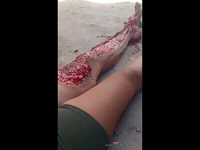 crash against the trash