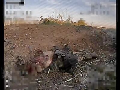 Dead Russians comp (August 12, 2025)