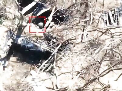 Dead Russians comp III (August 13, 2025)