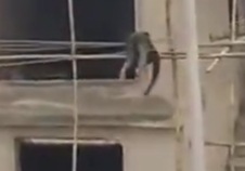 Moment a man working on building fell onto electric wire on the street