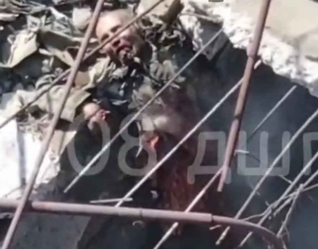 Relaxed Ukrainian is cut in half. 