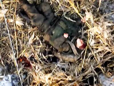 North Korean soldiers eliminated (compilation).