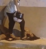 Dude Beats Prostituted with his Helmet