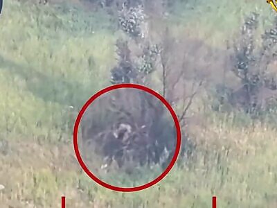 Dead Russians comp II (September 2, 2025)