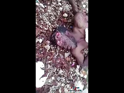 another one bites the dust