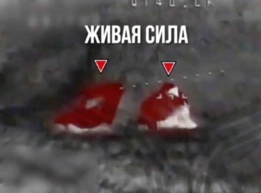 Rubicon compilation 31.