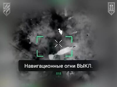 Night hunting for piglets.