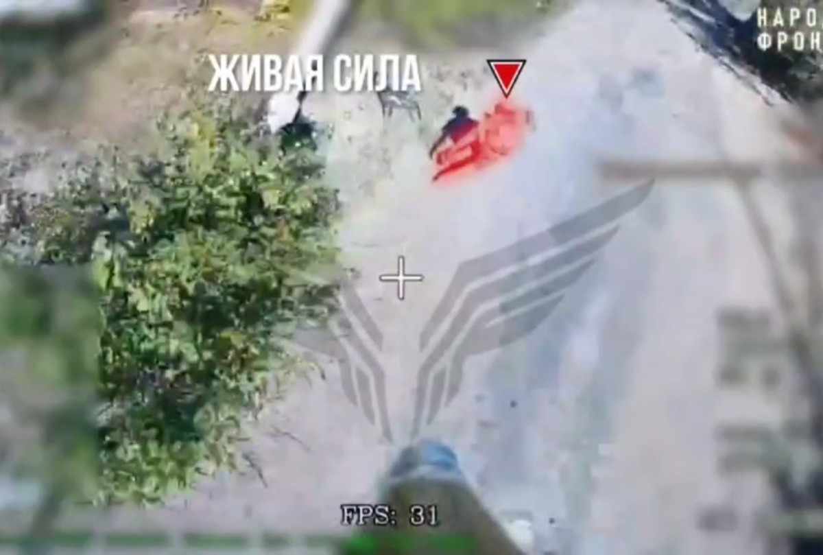 Rubicon compilation 36. 