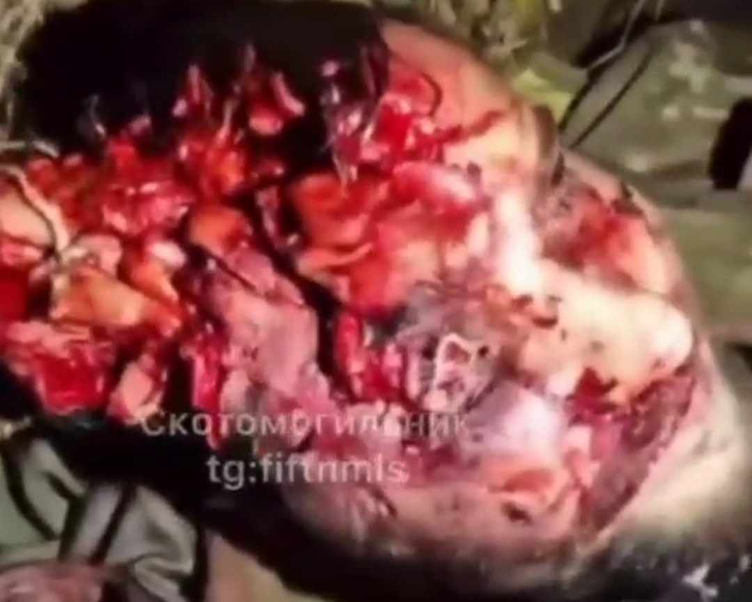 Brain drain in Ukraine.