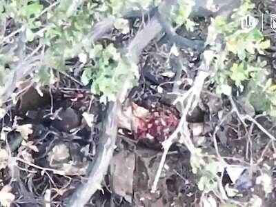 Dead Russians comp (September 21, 2025)