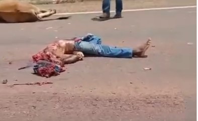 motorcyclist hit a cow and fell under a truck