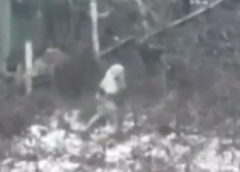 A precise sniper shot. 