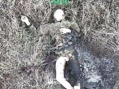 Another 30 stinking Russhits near Pokrovsk.