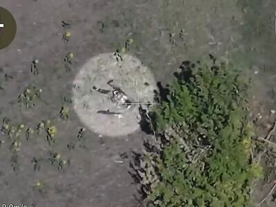 Dead Russians comp (October 2, 2025)