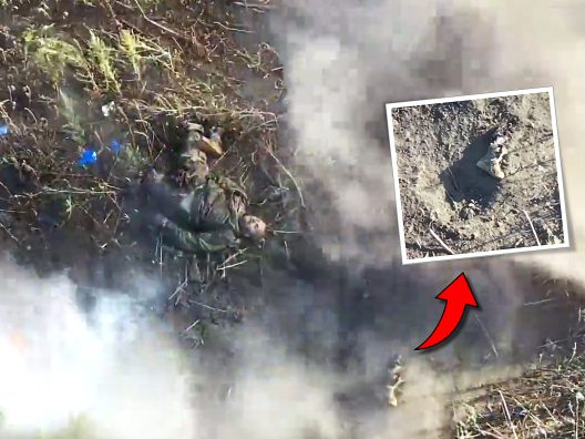 A Lecture in Causing Pain & Suffering to a Doomed Russian 