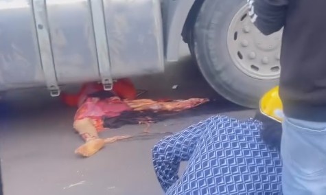 Moped Rider Became A Roadpizza