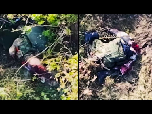 Two Comrades Playing Dead Become Slasher Movie Props