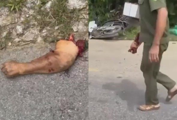 Hey, Who Lost A Hand?