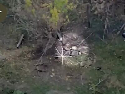 Dead Russians comp (October 17, 2025)