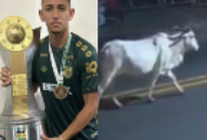 Football Player Died as He Hits Cow With Motorcycle
