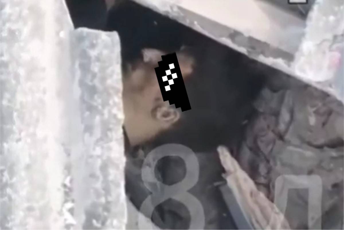 7 Ukrainians dead after double roof collapse.