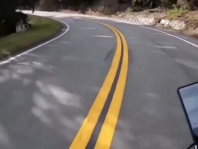 Fugitive deer rams a bicycle