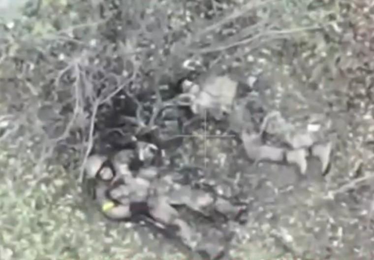 It wasn't the best hiding place. 