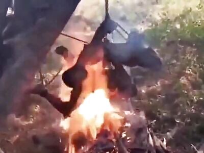 Some Gore Classics And Death (Compilation)