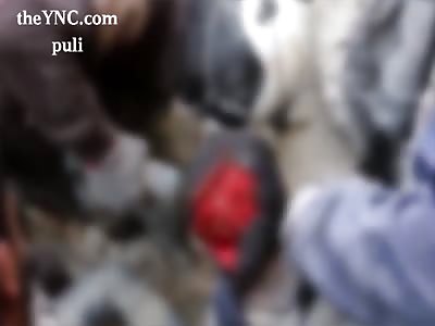 Rescuing this boy today after Russian / Assad attack in besieged Aleppo.