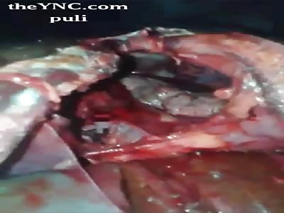 Murdered KING OF SALVADOR