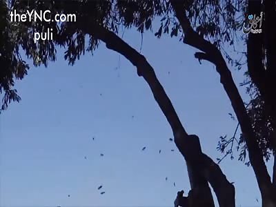 Attack of the islamic state