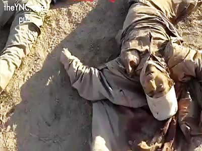 Revenge of the martyrs