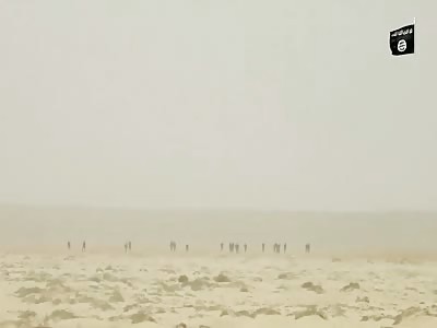 Very close fight between ISIS and Assad near Palmyra. The other Assad forces were either killed or fled.