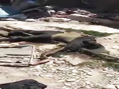 Mosul Massive destruction and killed civilians lying in the streets.