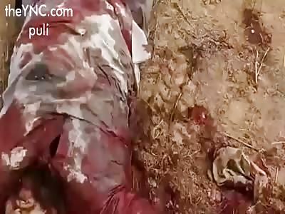 soldiers have fun with their fallen opponents