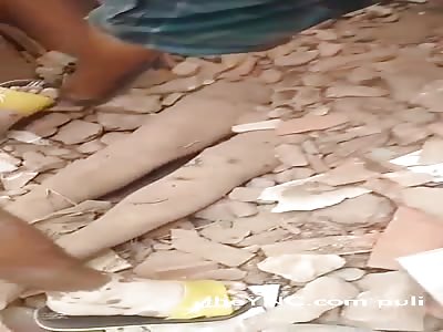 THE BODY OF THE LADY GIRL ALANNA WITHOUT LIFE IN THE GARDEN OF HER HOUSE