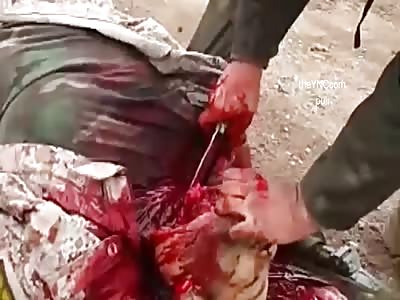 Cutting Rufid's heads