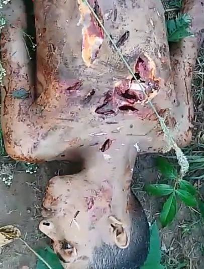 Savagely stabbed man is found near the railroad station