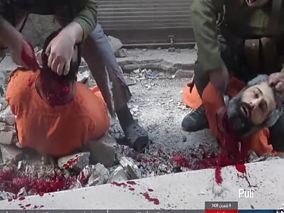 Two members of Nuseiri's army were killed after being captured in the front of the al-Qadam district south of Damascus