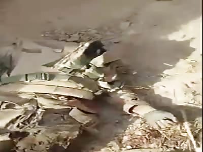 WAR, SHOW THEIR FALLEN OPPONENT