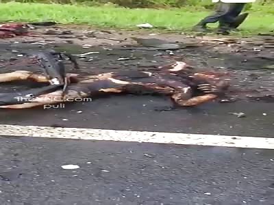 GRUESOME: RUSSIA FATAL ACCIDENT LEAVES BODIES. BURNED