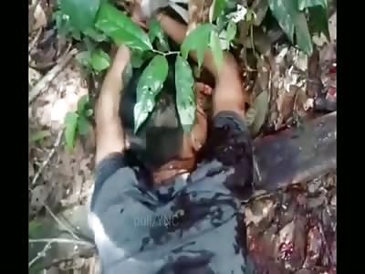 BRUTAL ASSASSINATED BRAZIL