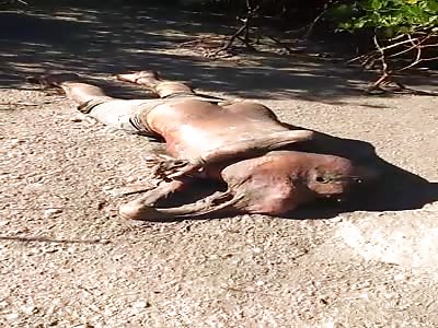 BODY WITHOUT HEAD IN BEIRA RIO [BRAZIL]
