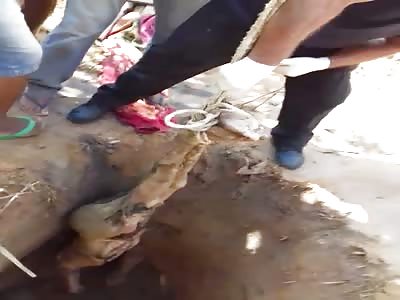 Body of the man that the son killed and buried in the patio ... MARANH