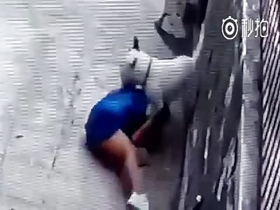 Wtf girl is attacked by a dog