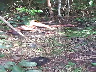 they find the body of a woman without life